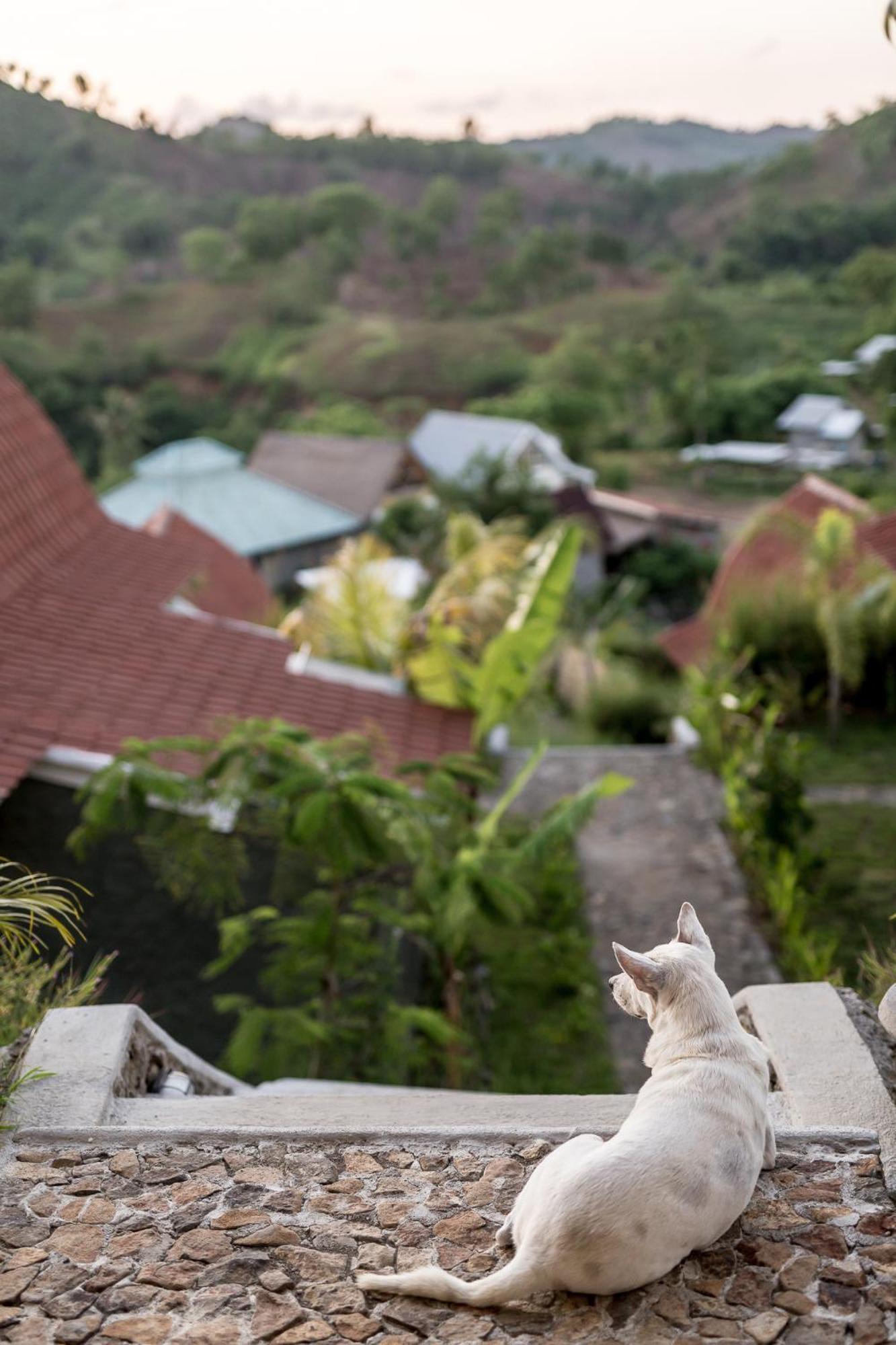Drop In Surf Lodge Kuta  Экстерьер фото